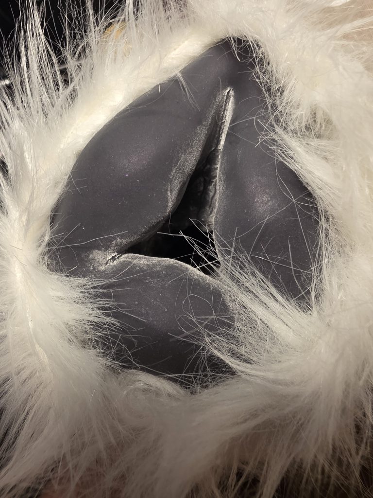 Image #1 from Anonymous